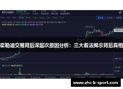 霍勒迪交易背后深层次原因分析：三大看法揭示背后真相